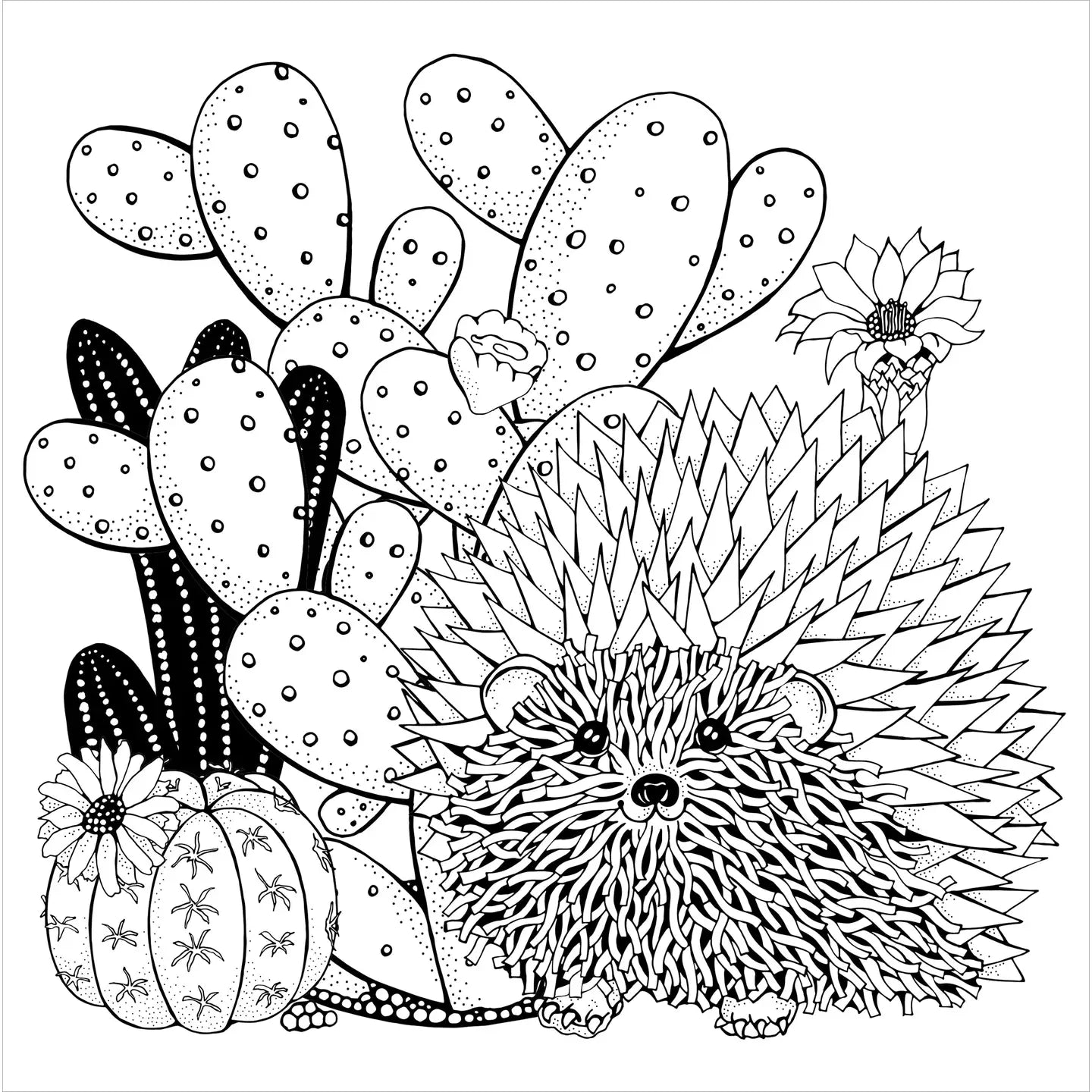 Succulents Artists Coloring Book
