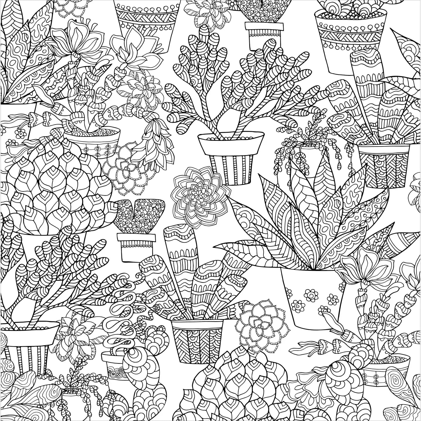 Succulents Artists Coloring Book