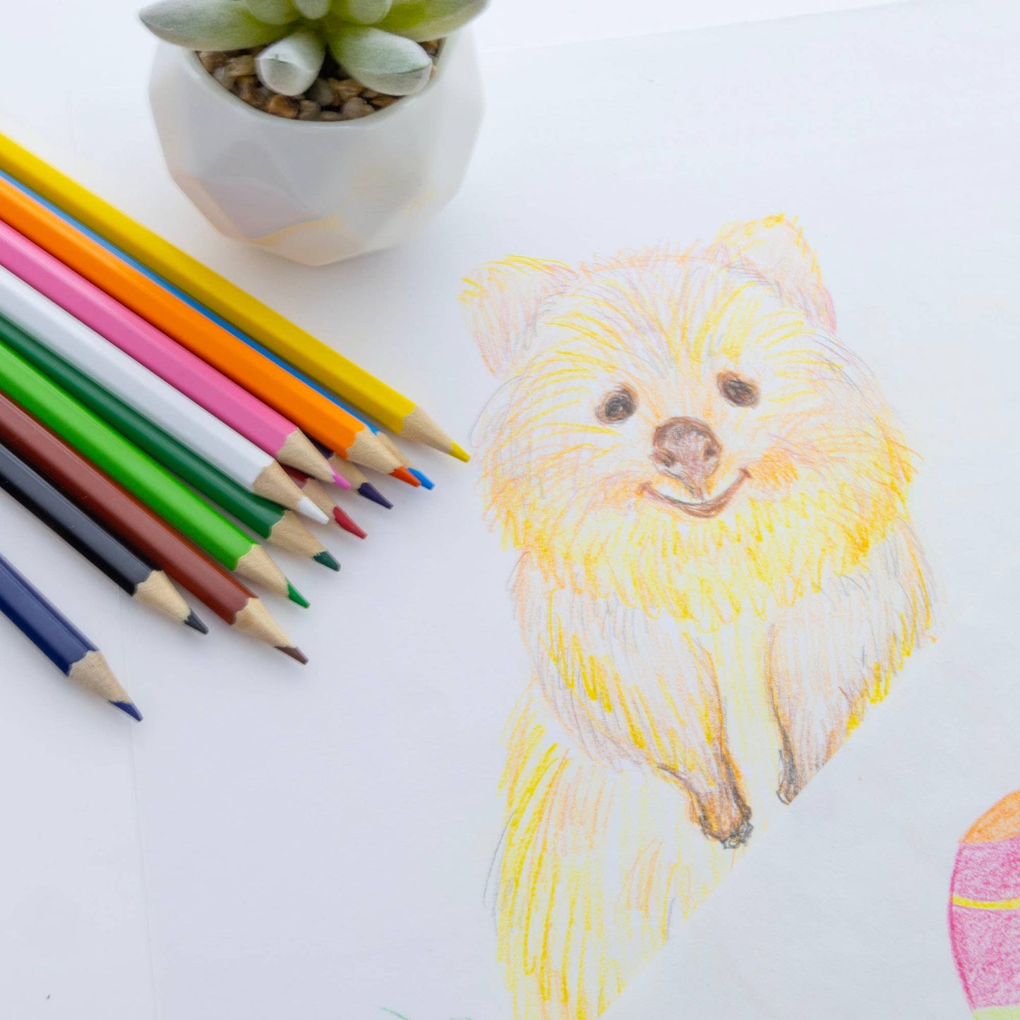 Wood 12 Colored Pencils
