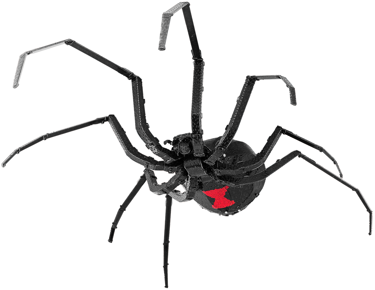 3D Metal Puzzle - Black Widow Spider