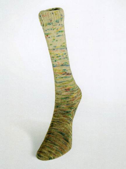 Laines du Nord yarn - Paint Gradient Sock