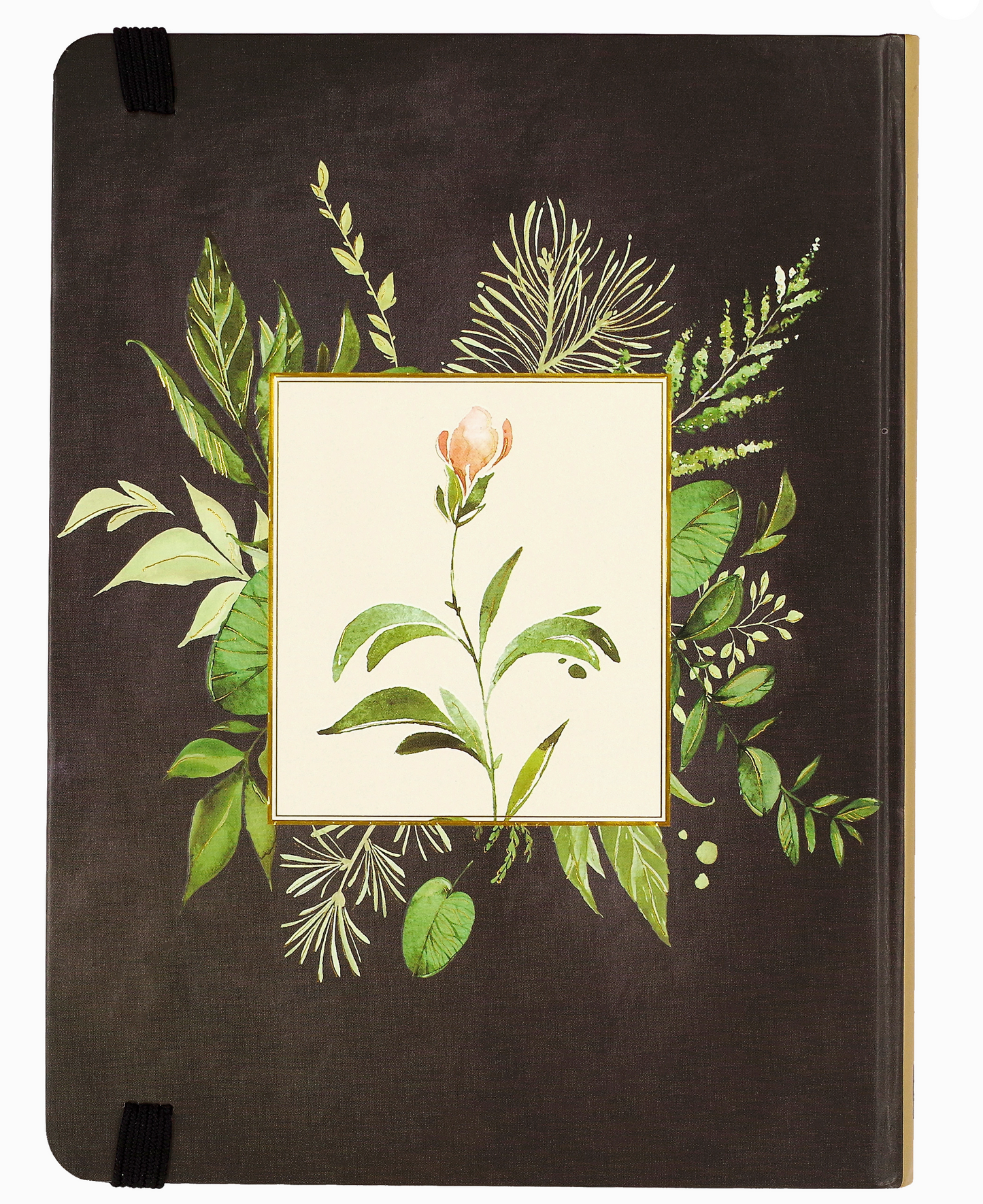 An Oral History: Preserve Your Family’s Story