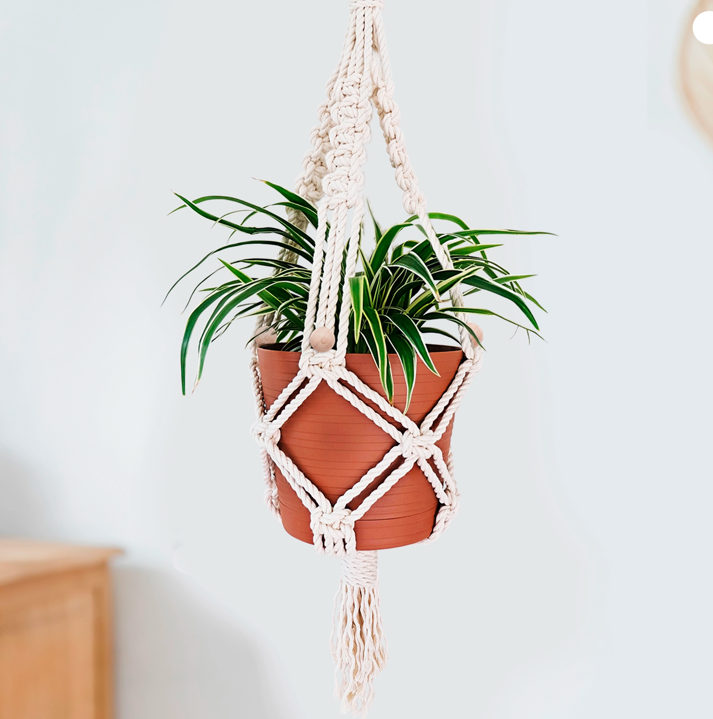 DIY Macrame Plant Hanging Kit