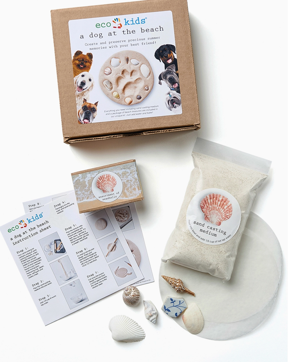 Copy of Eco-kids A Day at the Beach - Paw Print