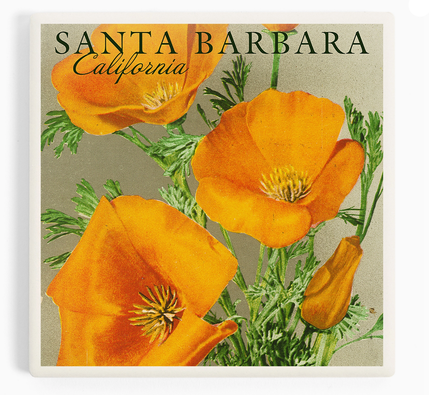 Santa Barbara Coasters