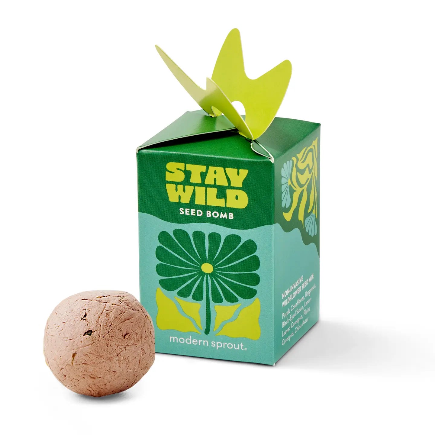 Stay Wild Seed Bomb-Modern Sprout