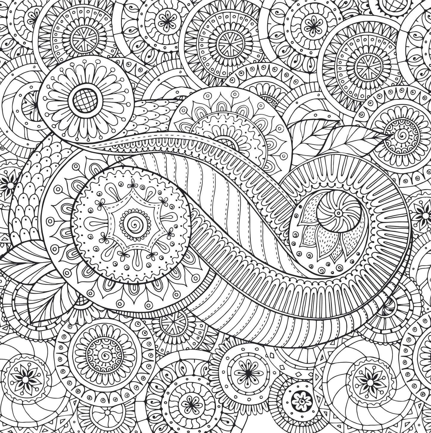 Peaceful Paisleys Artists Coloring Book