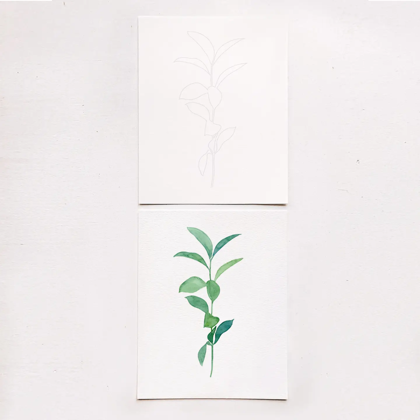 Botanical Watercolor Kit