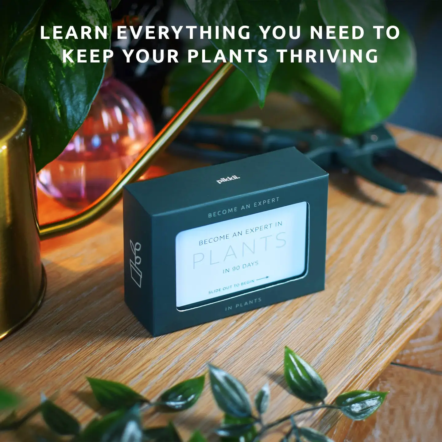 Become an Expert in Plants in 90 Days