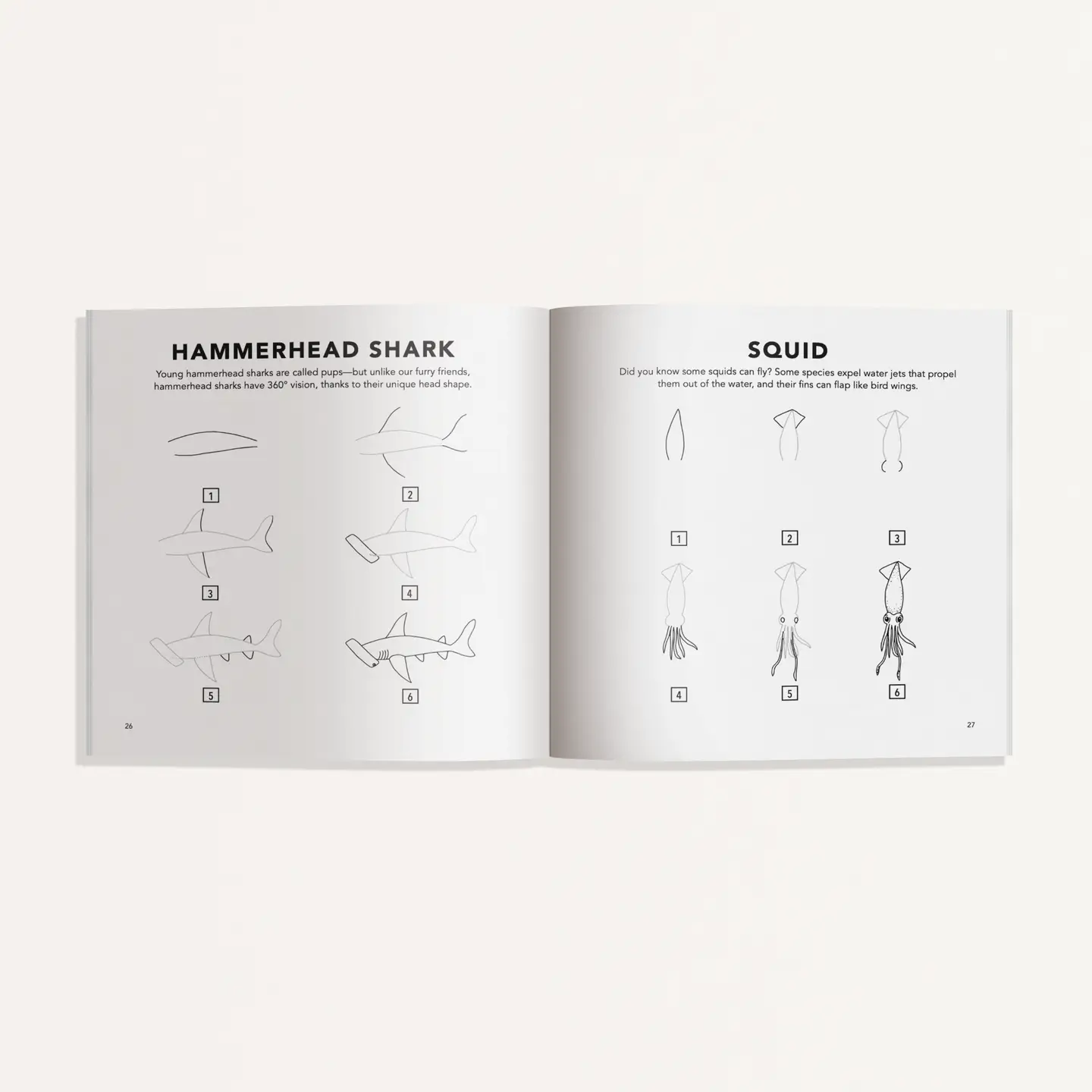 How to Draw Under the Sea