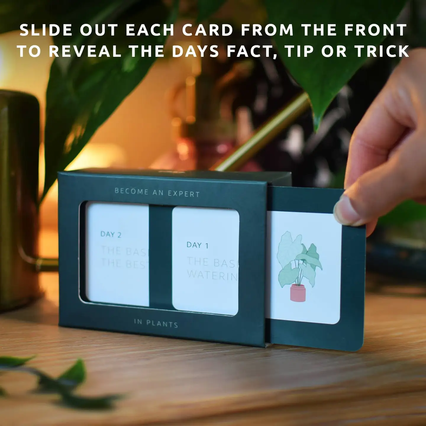 Become an Expert in Plants in 90 Days