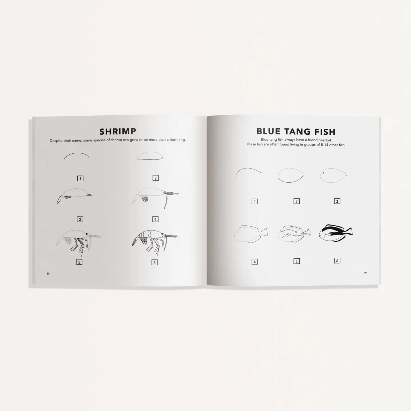 How to Draw Under the Sea