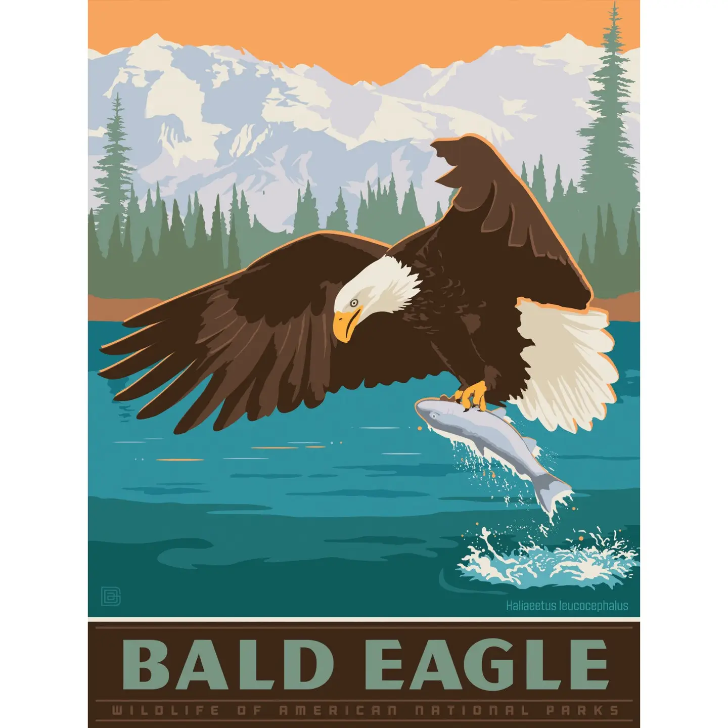 Bald eagle 300 Piece Jigsaw Puzzle