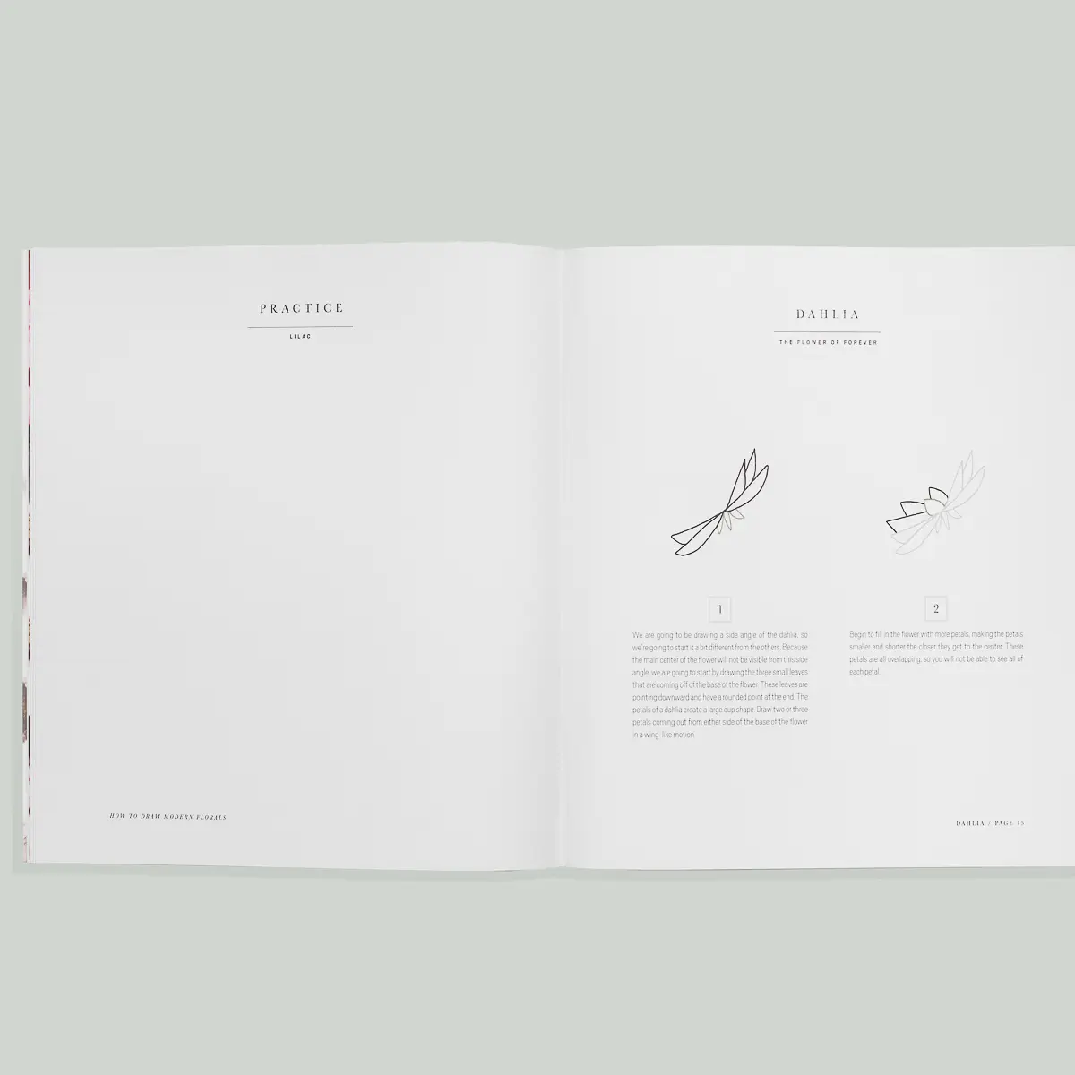 How to Draw Modern Florals