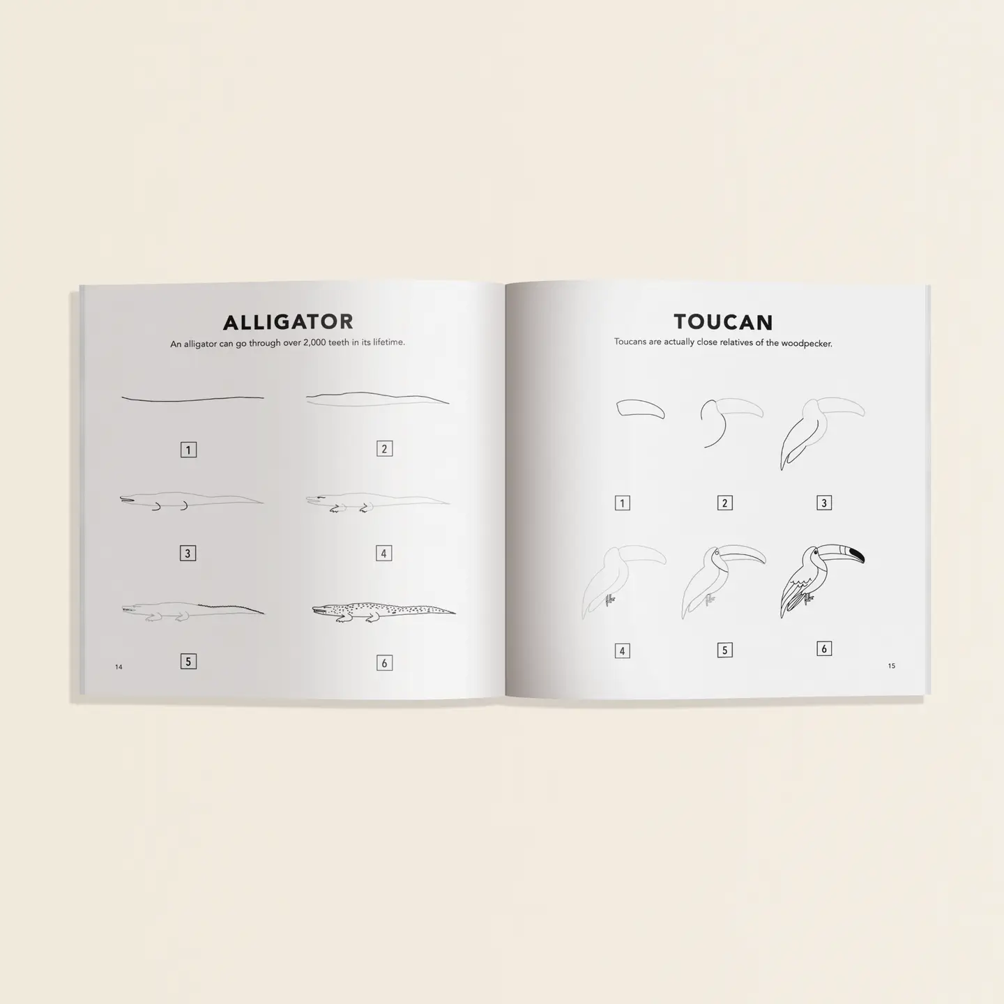 How to Draw All the Animals