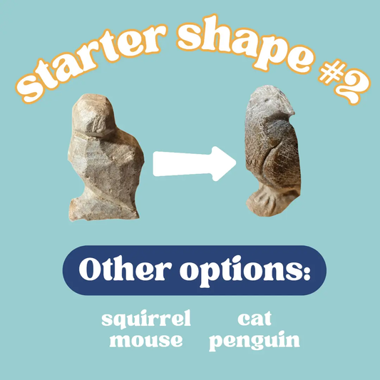 Stone Carving DIY Craft Kit: Bird Craft Soapstone Kit