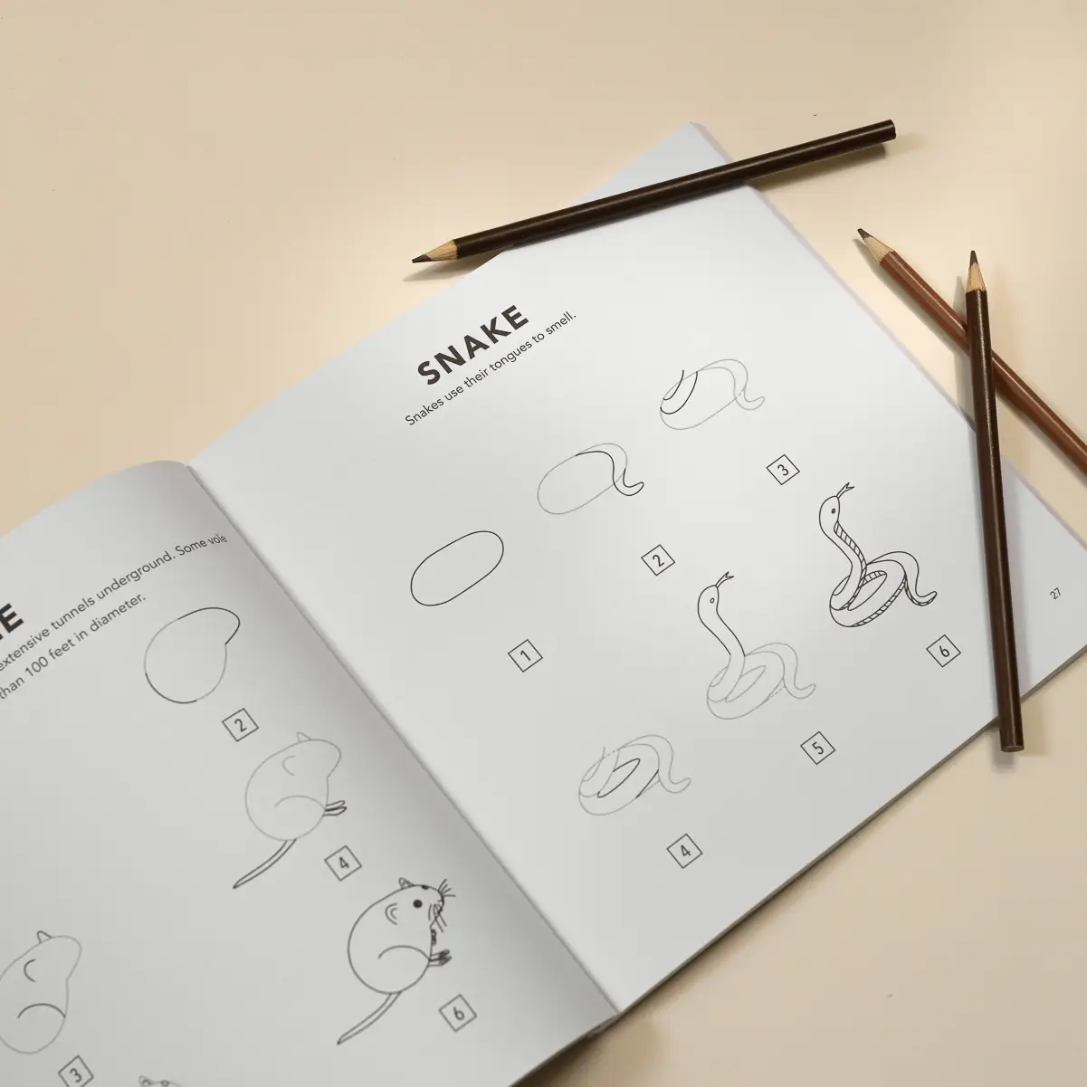 How to Draw Woodland Creatures