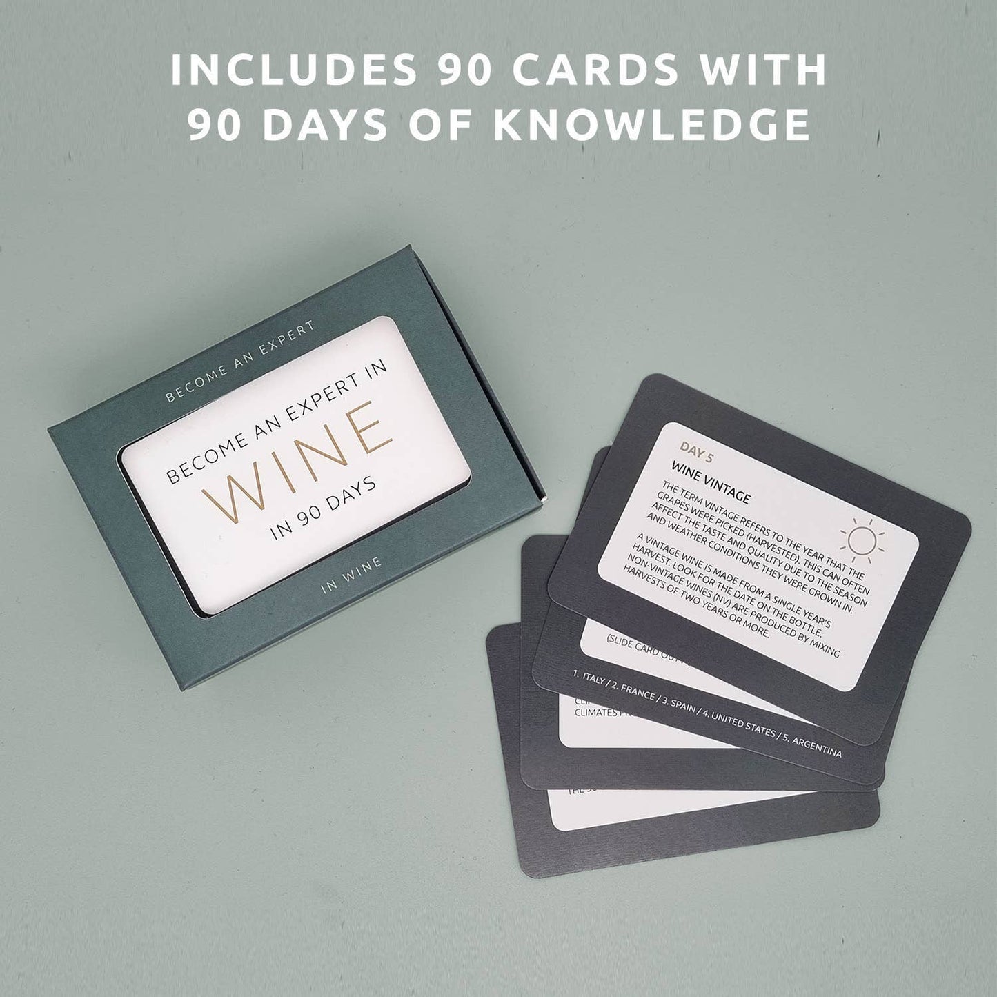 Become An Expert In Wine In 90 Days Slide Box | Wine Gift