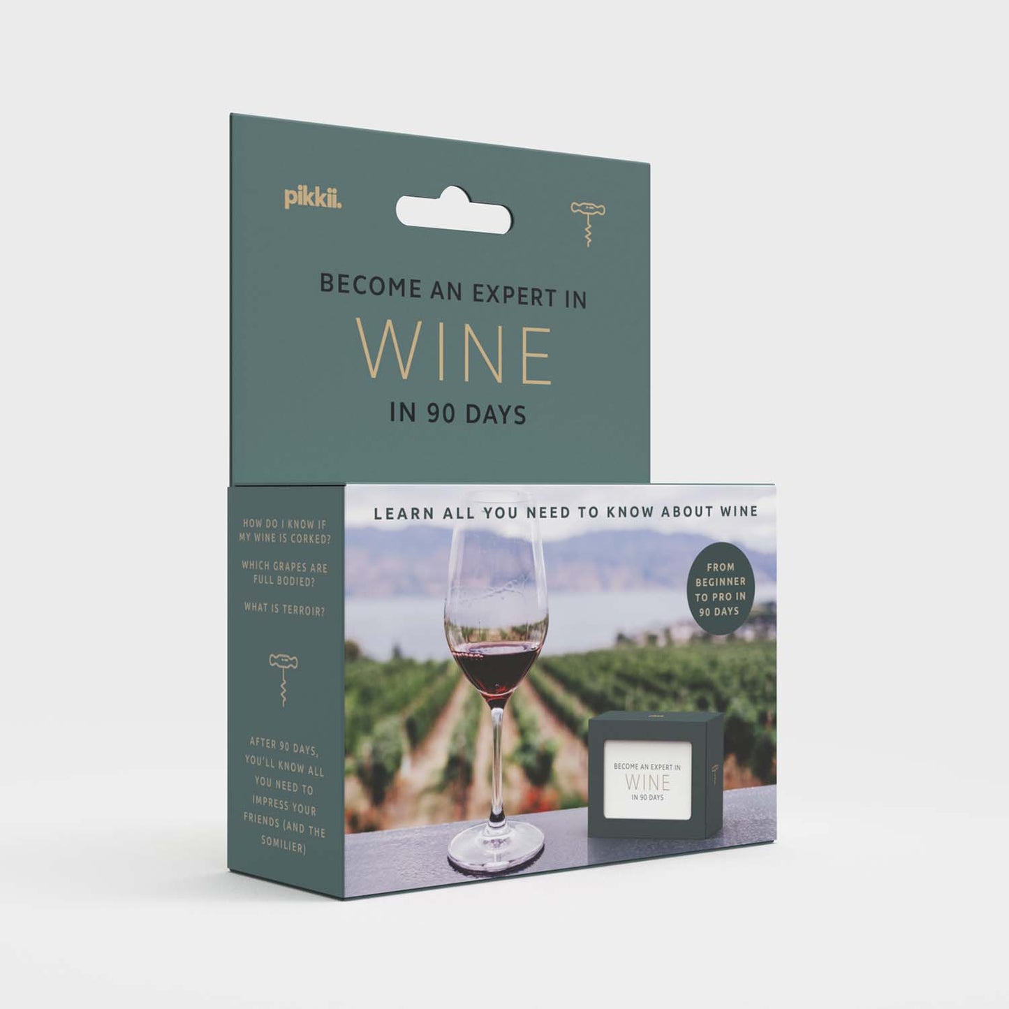 Become An Expert In Wine In 90 Days Slide Box | Wine Gift