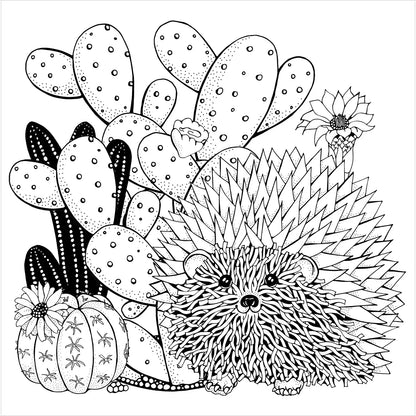 Succulents Artists Coloring Book