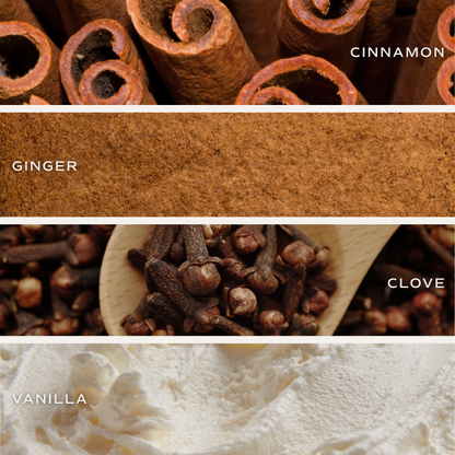 Gingerbread and Spice 11 oz Soy Candle