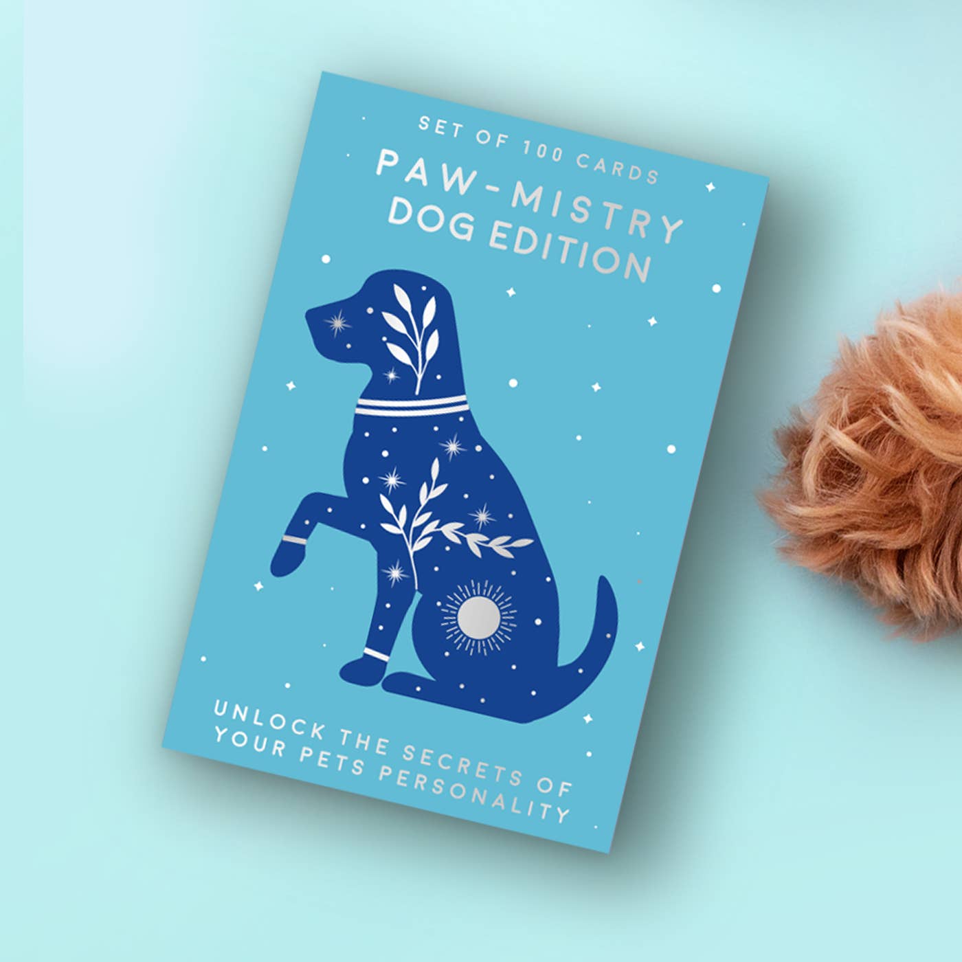 Paw-Mistry Cards: Dog Edition