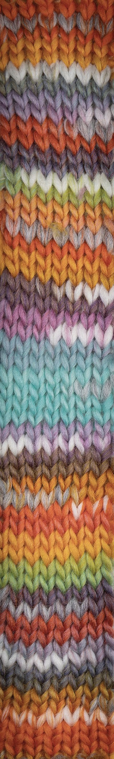 Young and Trendy Yarn -  Laines Du Nord