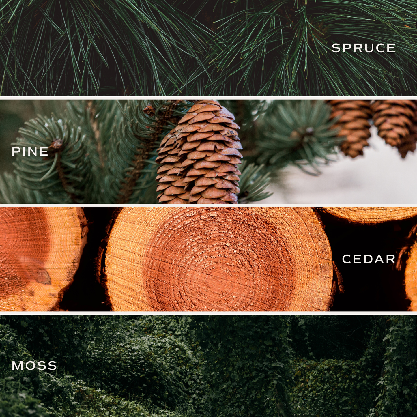Christmas Tree Reed Diffuser