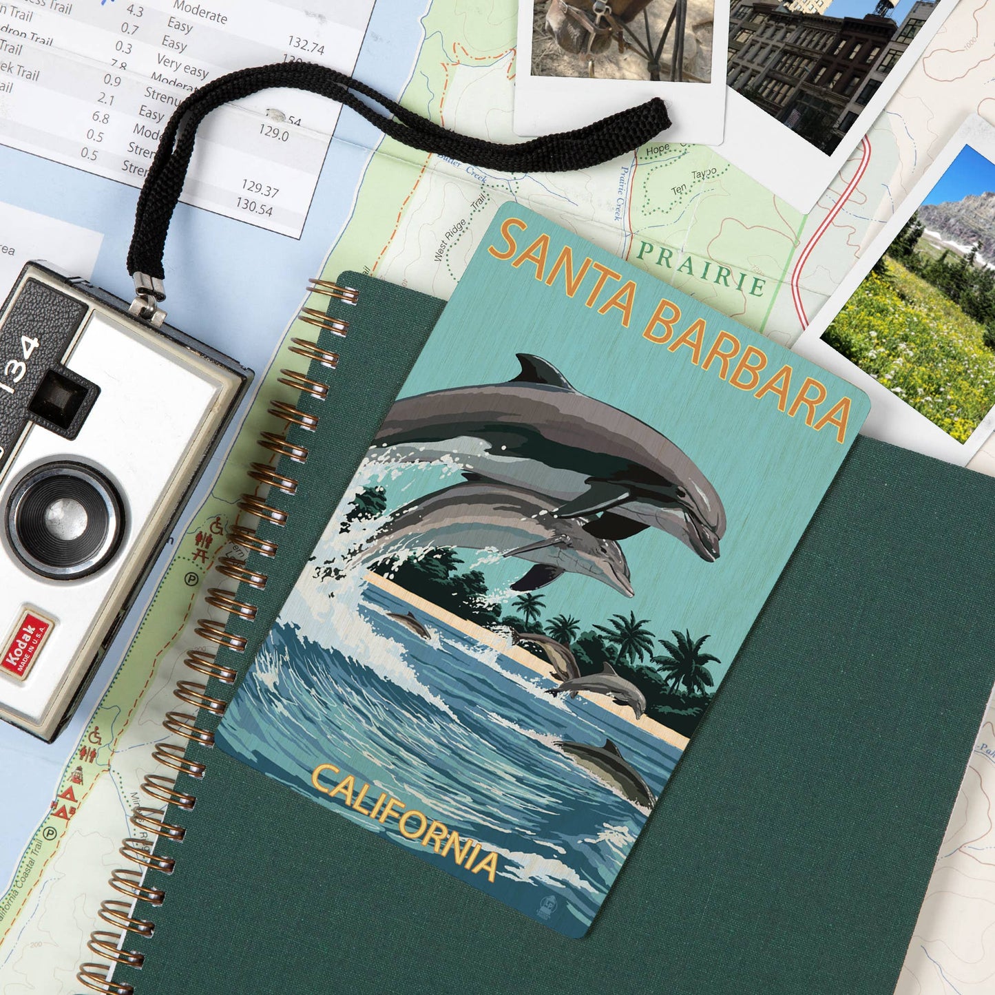 Santa Barbara Wood Postcards - Dolphins