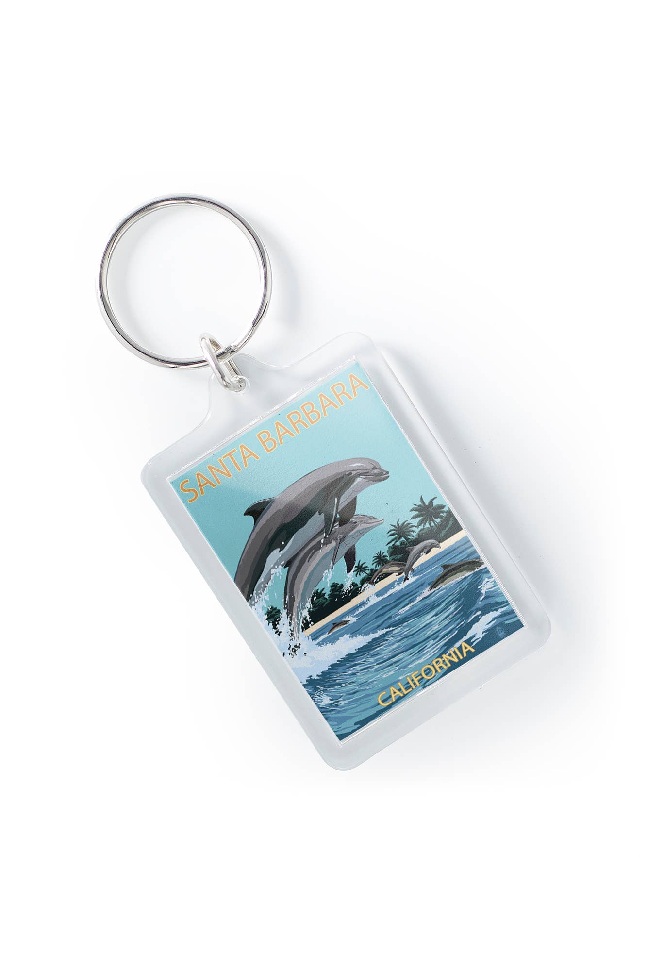 Dolphins Santa Barbara Key Chain