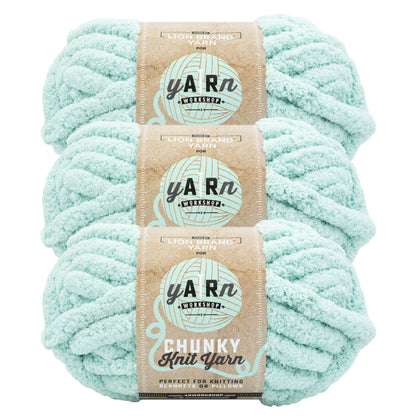 Lion Brand Yarn AR Workshop Chunky Knit: Artichoke