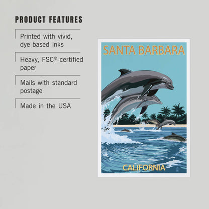 Dolphins Santa Barbara Postcard