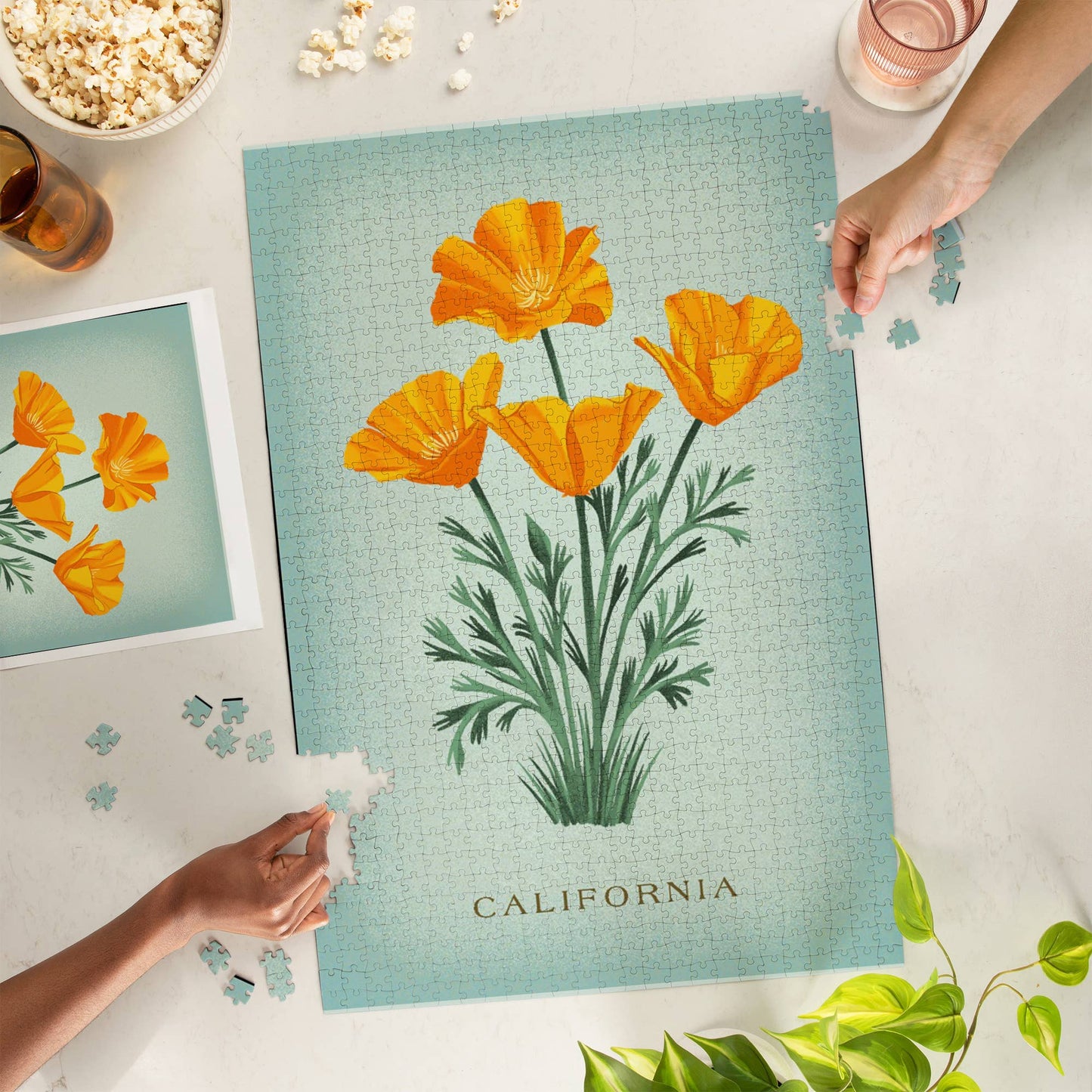 Vintage California Poppy 1000 Piece Jigsaw Puzzle