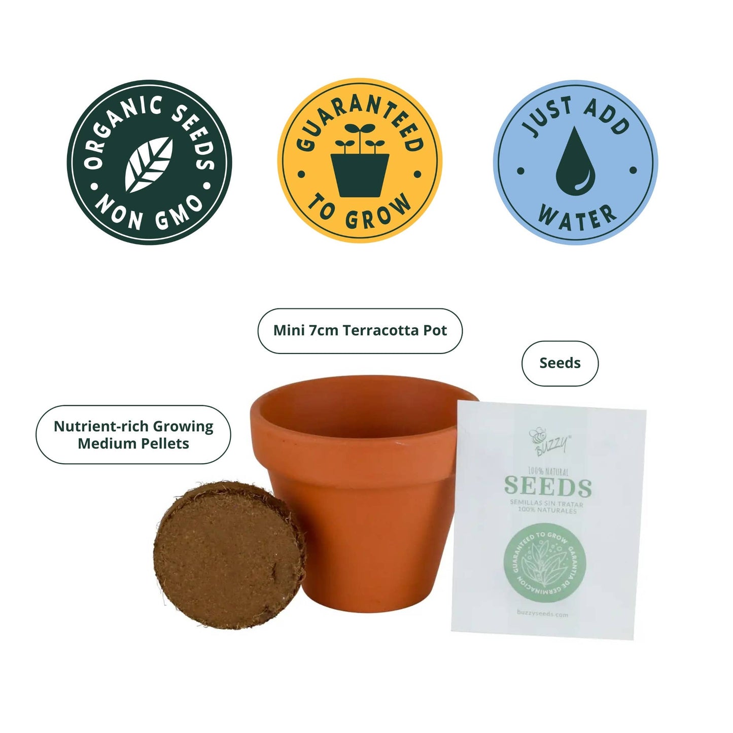 Holiday Mini Terracotta Sweater Assorted Grow Pots (12 Pack)