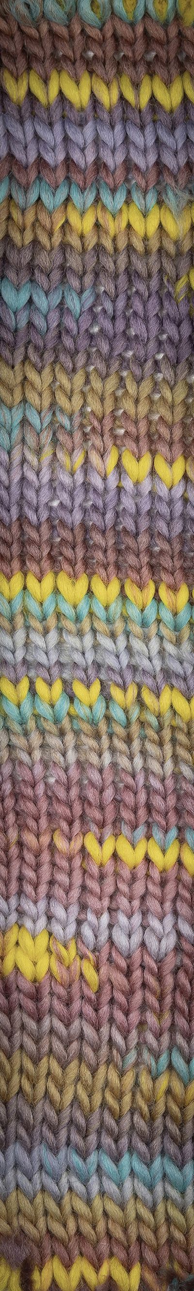 Young and Trendy Yarn -  Laines Du Nord