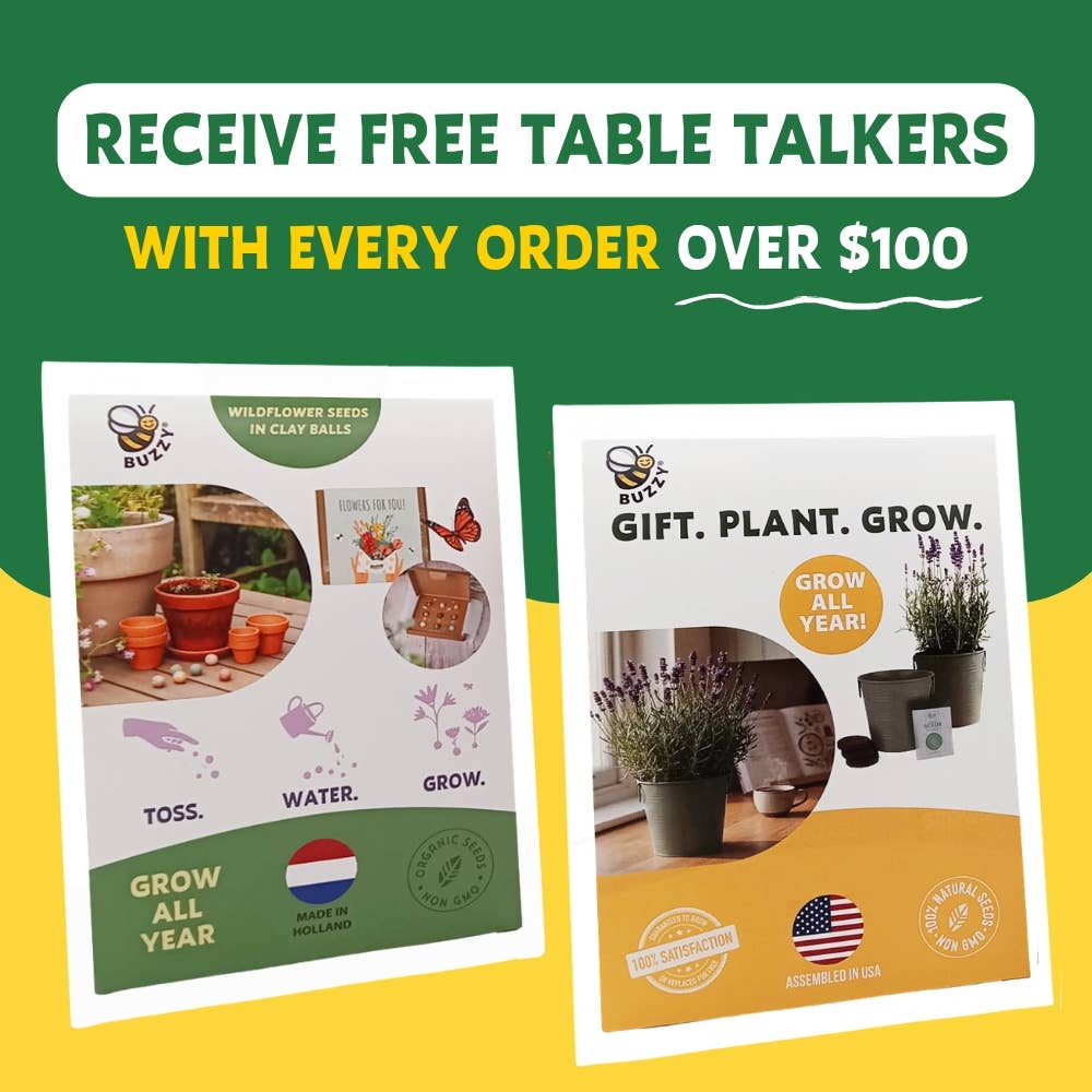 Mini Holiday Spruce Trees | Grow Kit Set | Party Favors