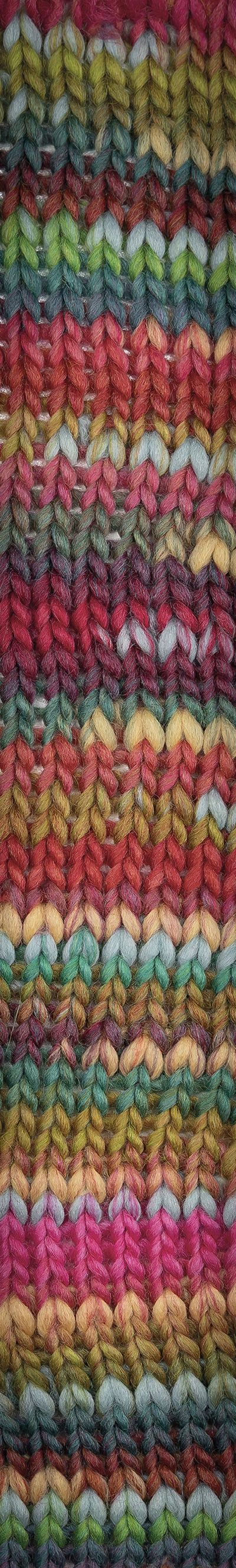 Young and Trendy Yarn -  Laines Du Nord