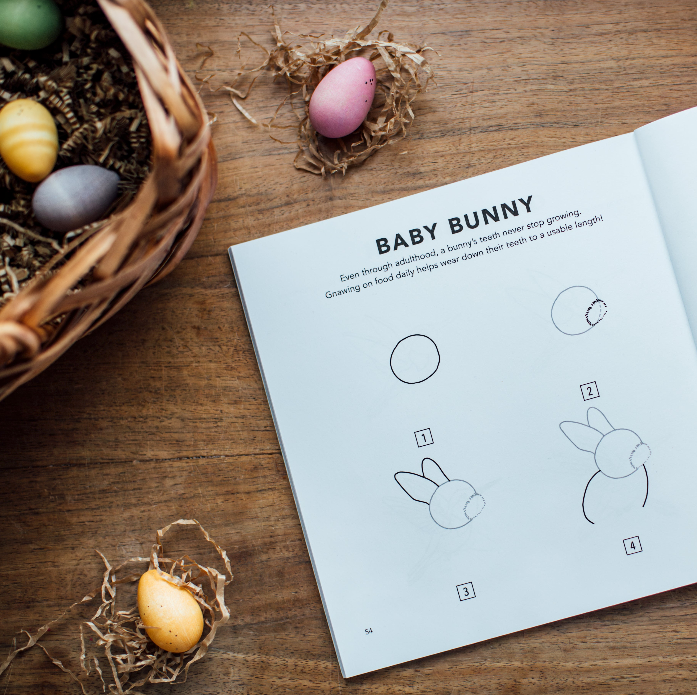 Spring Things: How to Draw