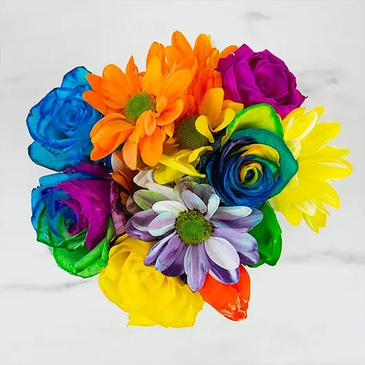 DIY Rainbow Flower Kit