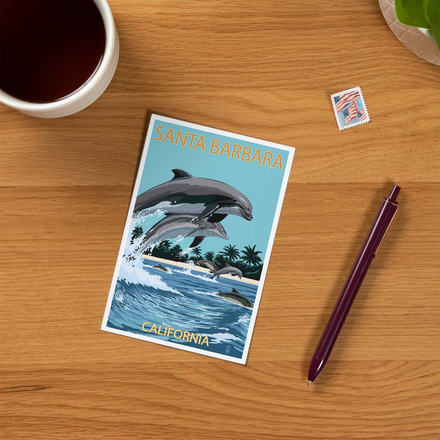 Dolphins Santa Barbara Postcard
