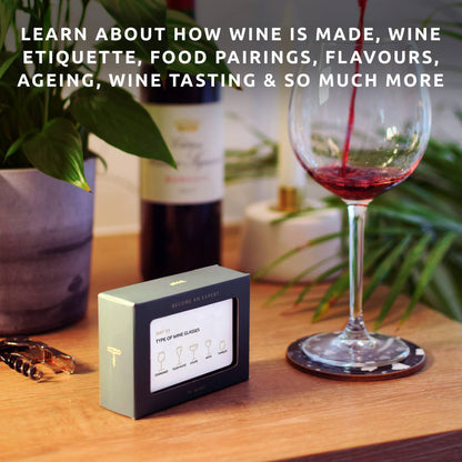 Become An Expert In Wine In 90 Days Slide Box | Wine Gift
