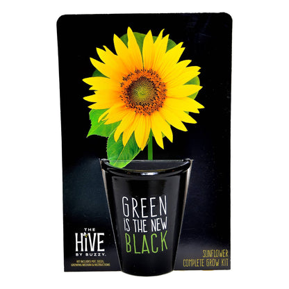 Green is the New Black Sunflower Grow Kit