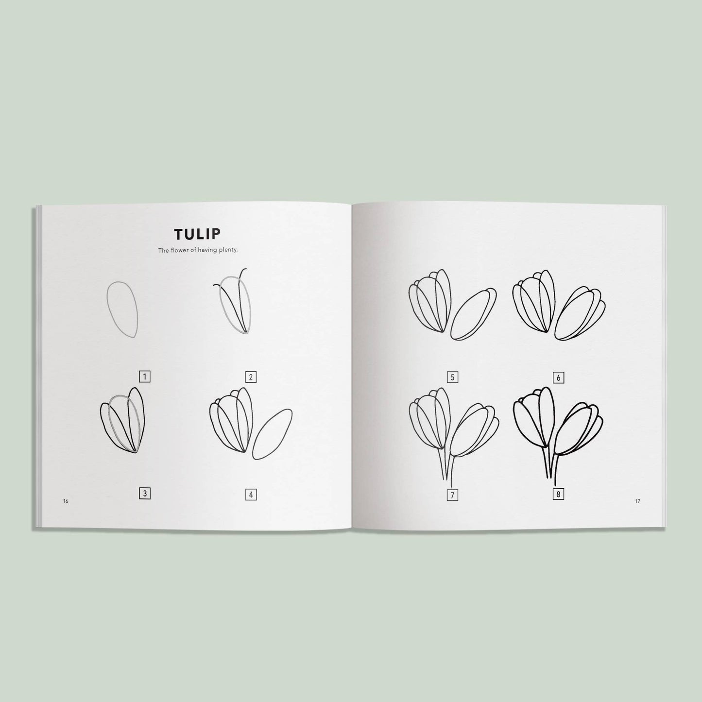 Spring Things: How to Draw
