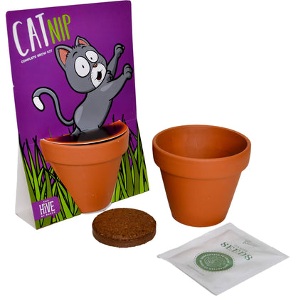 Whimsical Cat Nip Grow Kit | Catnip Seeds | Terracotta Pot