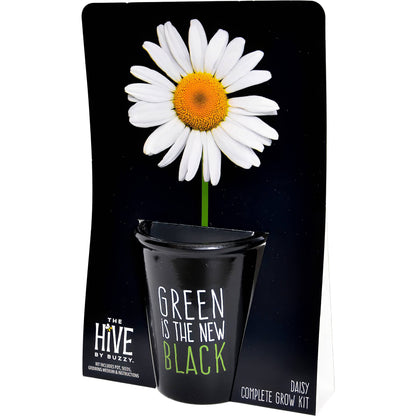 Green is the New Black Daisy Grow Kit