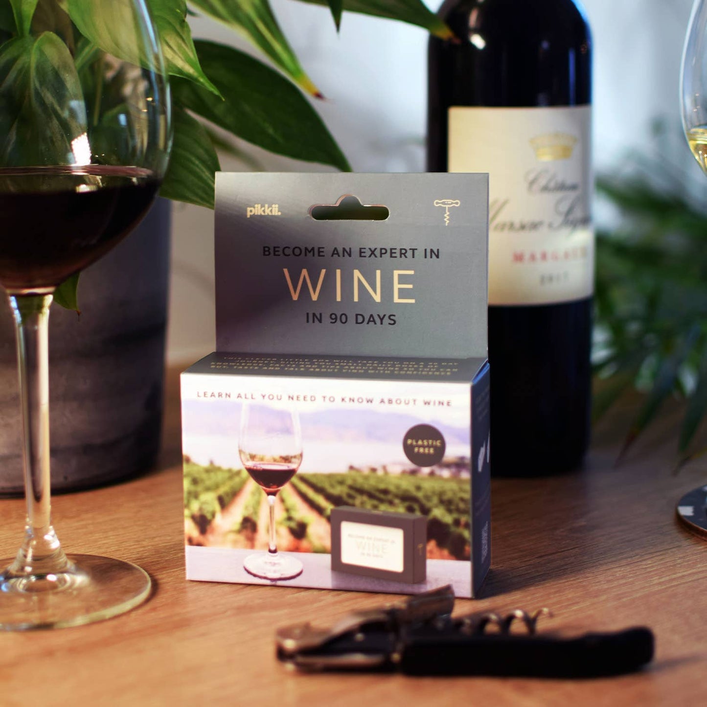Become An Expert In Wine In 90 Days Slide Box | Wine Gift