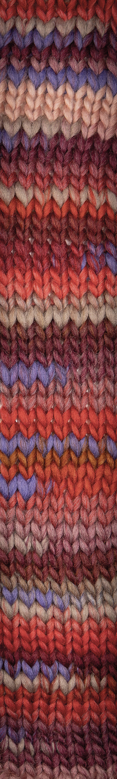 Young and Trendy Yarn -  Laines Du Nord