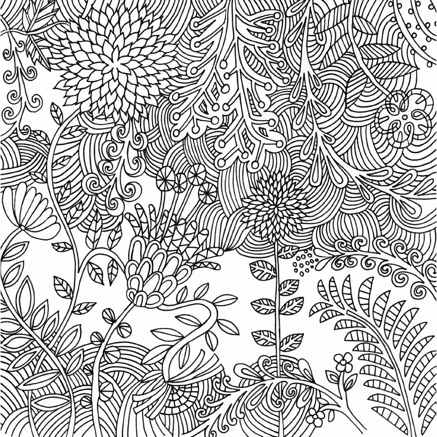 Serenity Artists Coloring Book