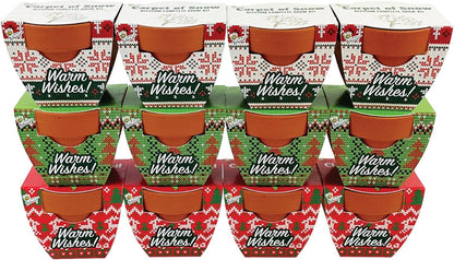 Holiday Mini Terracotta Sweater Assorted Grow Pots (12 Pack)