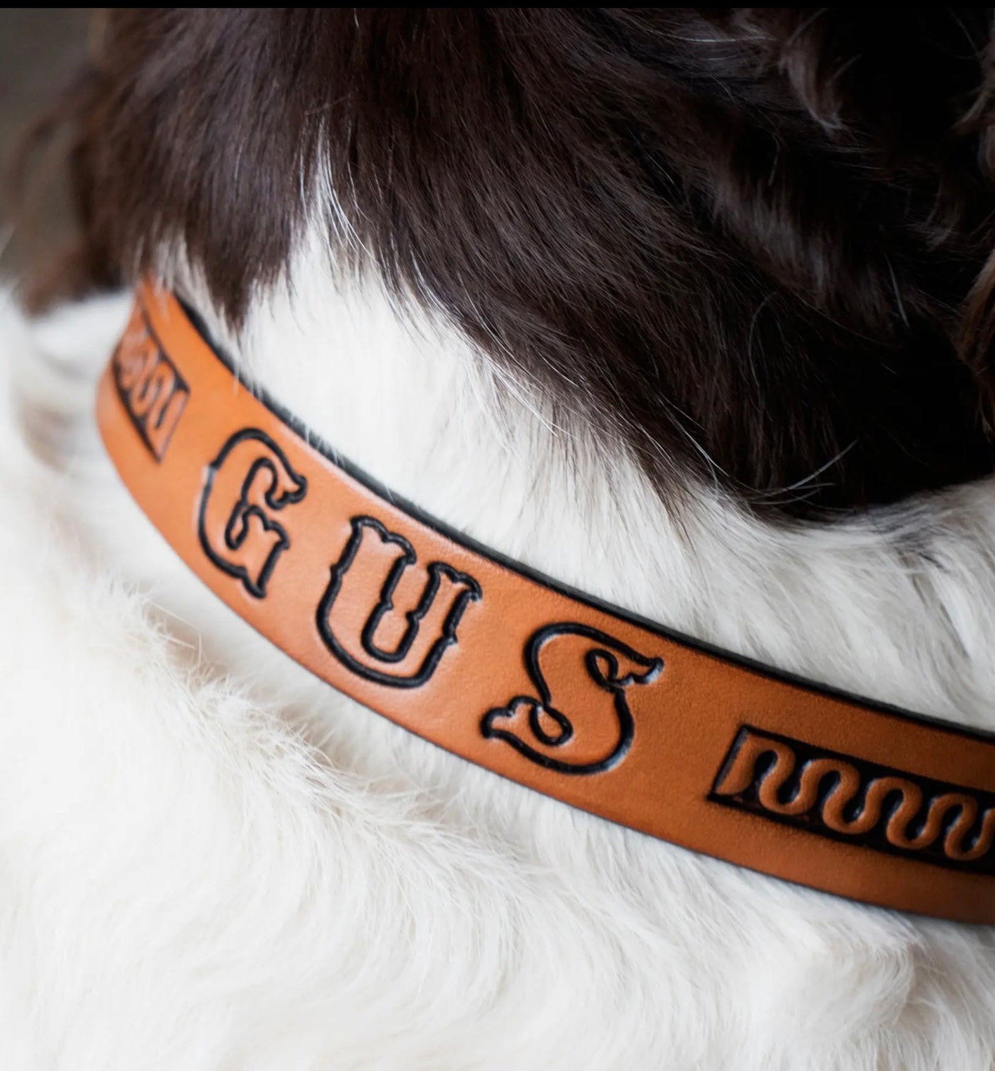 Leather Dog Collar Kit - ReaLeather Crafts